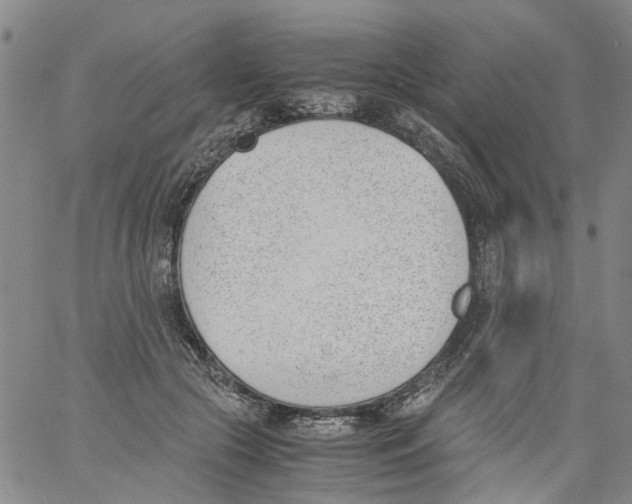 X0000060800553200512082152