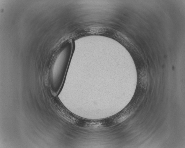 X0000060800554200512082152