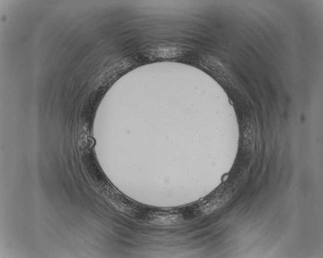 X0000060800555200512082152