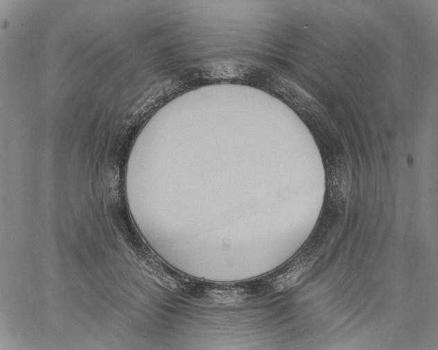 X0000060800556200512082152