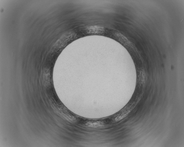 X0000060800557200512082152