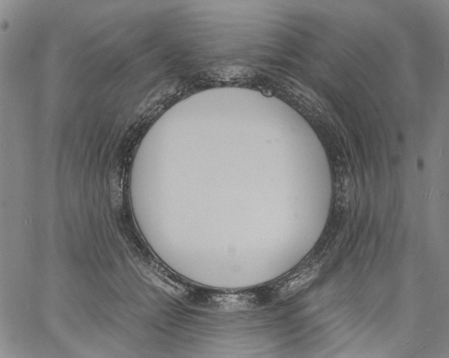 X0000060800558200512082152