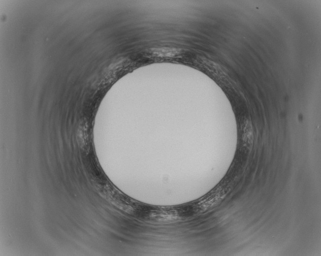 X0000060800559200512082152