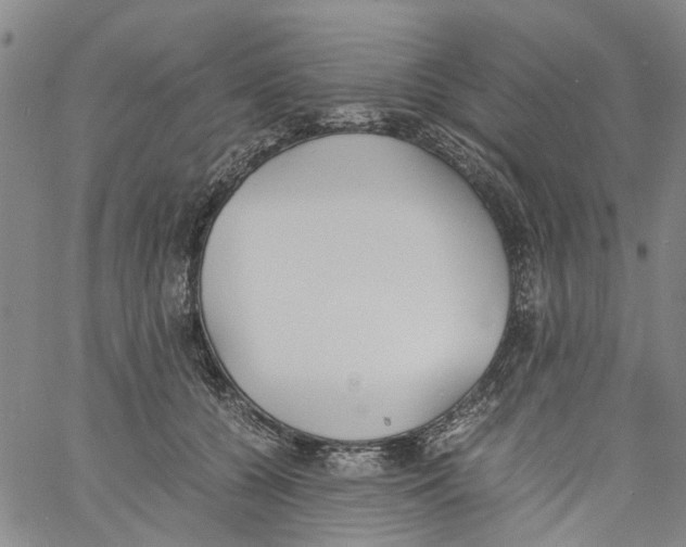 X0000060800560200512082152