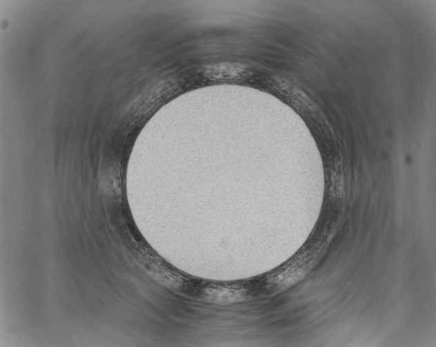 X0000060800561200512082153