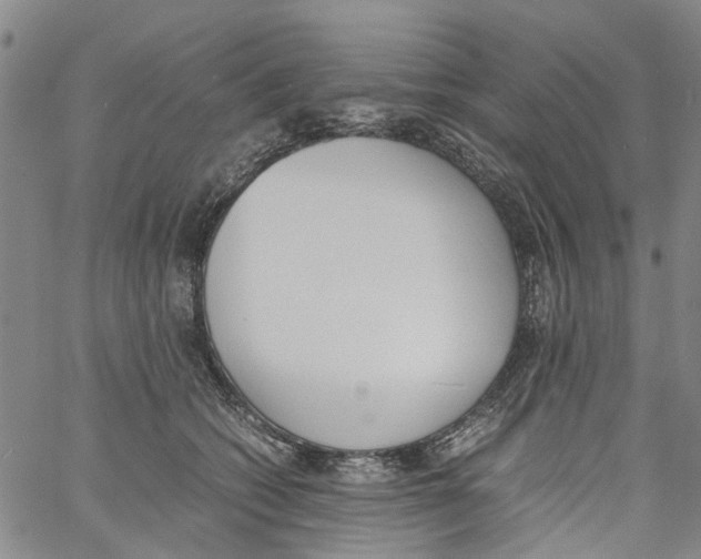 X0000060800562200512082153