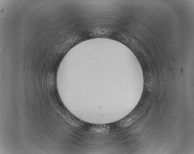 X0000060800563200512082153