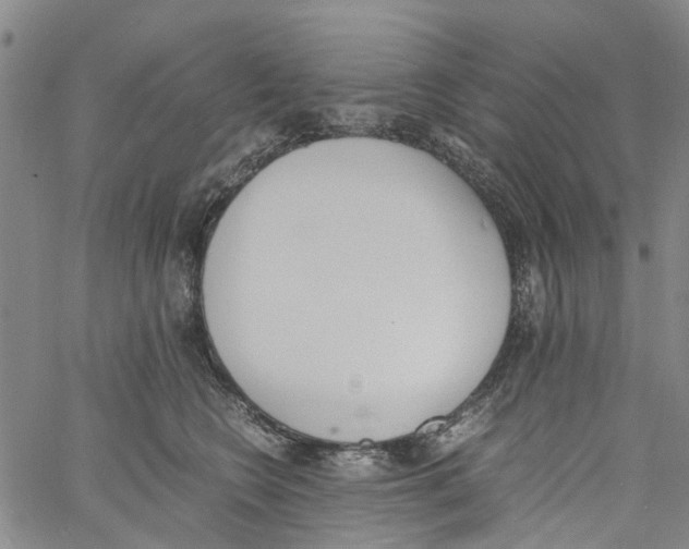 X0000060800566200512082153