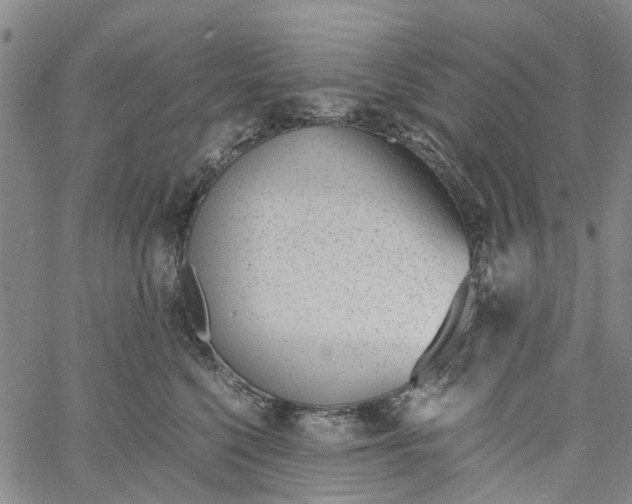 X0000060800568200512082153