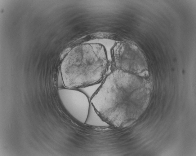 X0000060800569200512082153