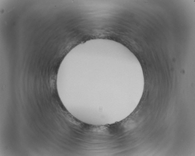 X0000060800576200512082153