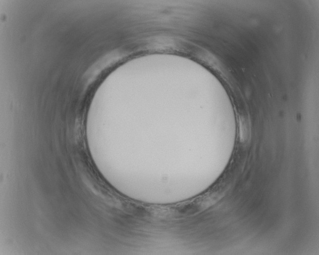 X0000060800579200512082152