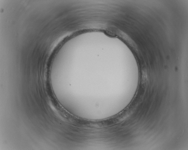 X0000060800580200512082152