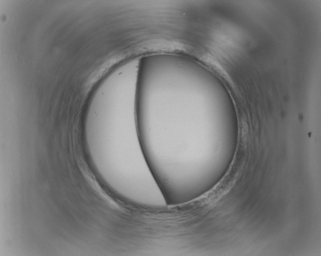 X0000060800581200512082152