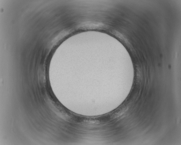 X0000060800582200512082152