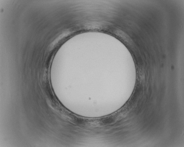 X0000060800583200512082152