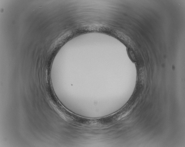 X0000060800589200512082152