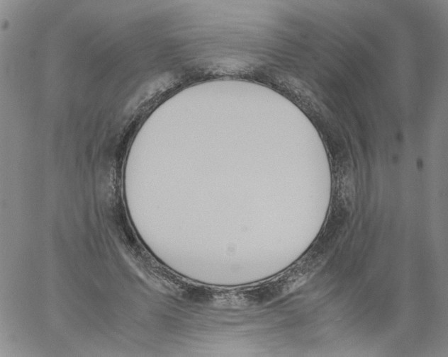 X0000060800591200512082152