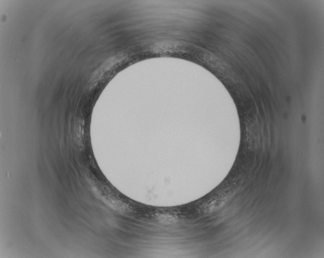 X0000060800592200512082152