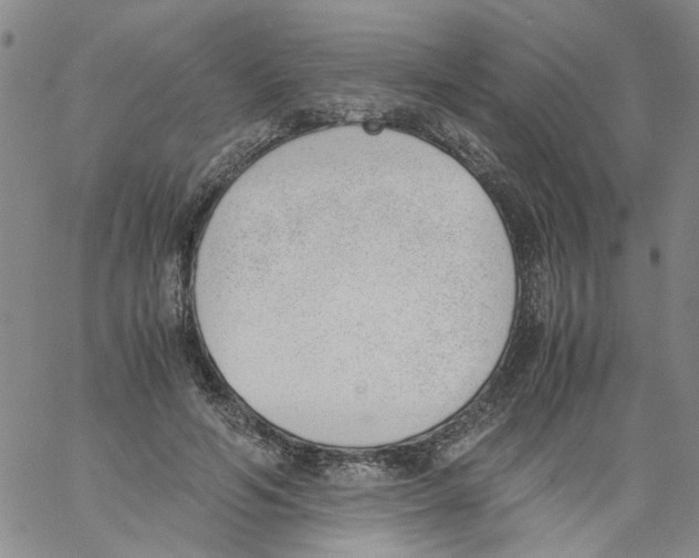 X0000060800594200512082152