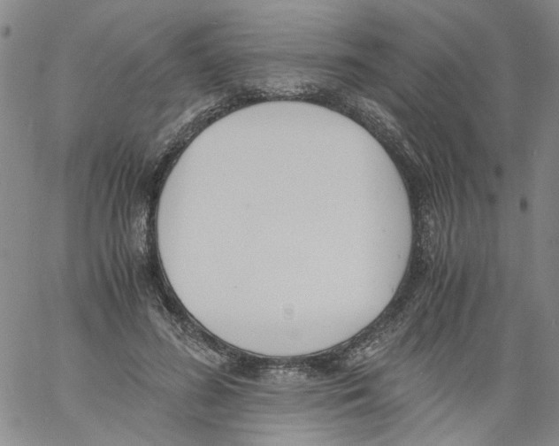 X0000060800596200512082152