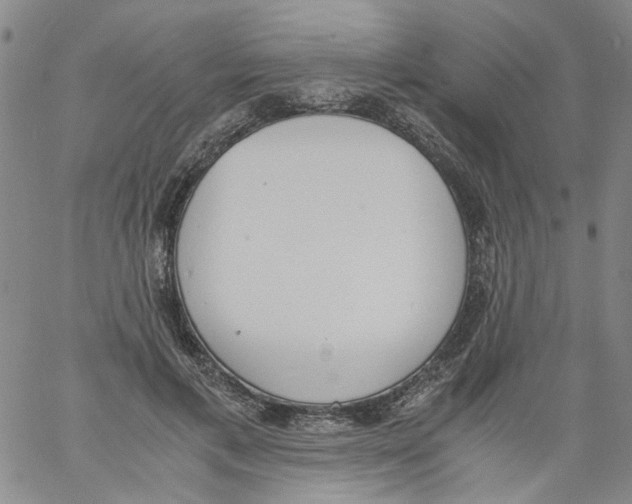 X0000060800597200512082152