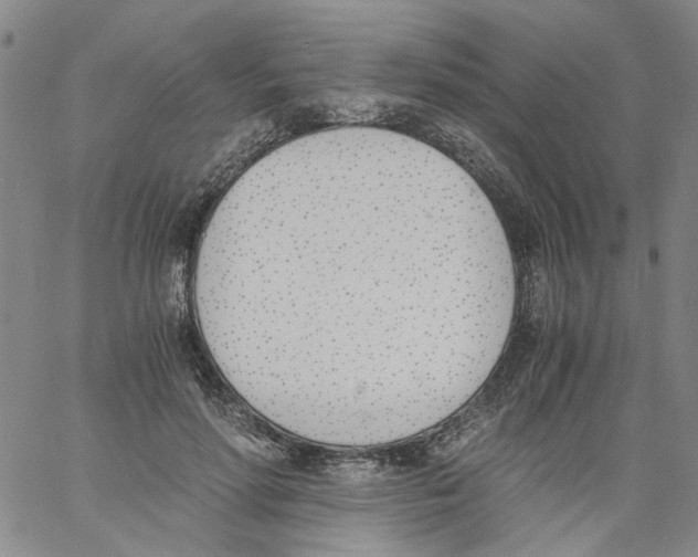 X0000060800598200512082152