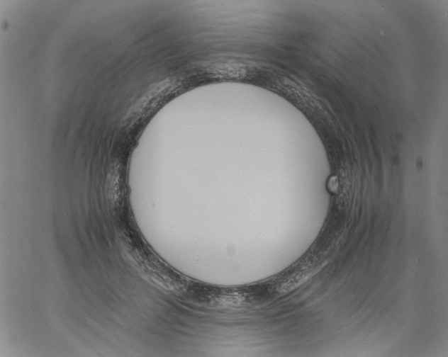 X0000060800600200512082152