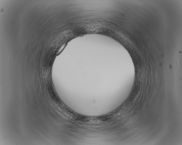 X0000060800601200512082152