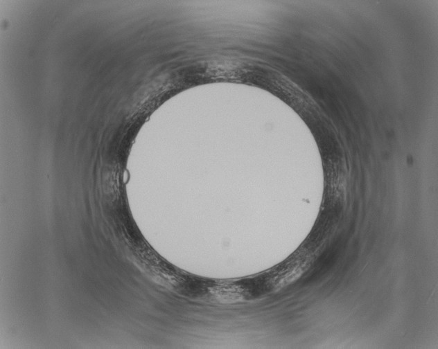 X0000060800603200512082152