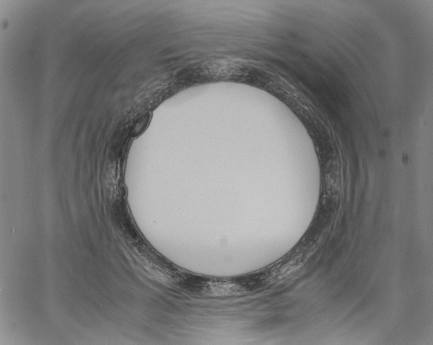 X0000060800605200512082152