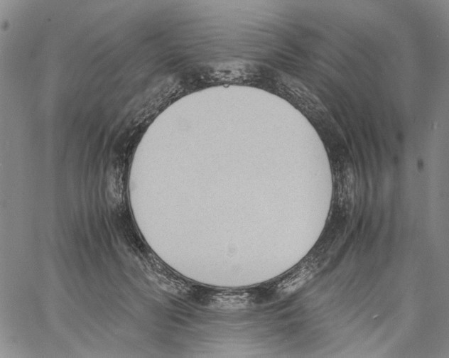 X0000060800606200512082151