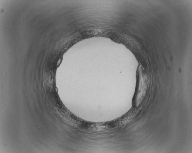 X0000060800607200512082151