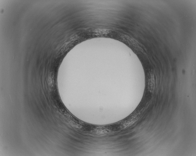 X0000060800608200512082151