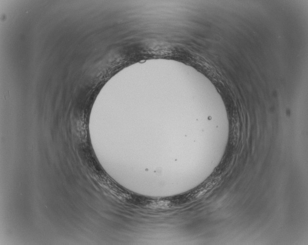 X0000060800609200512082151