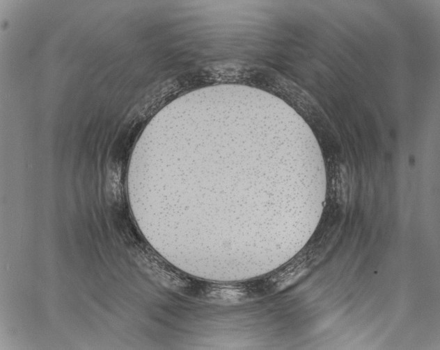 X0000060800610200512082151