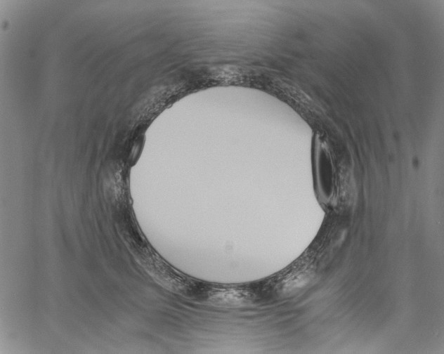 X0000060800611200512082151