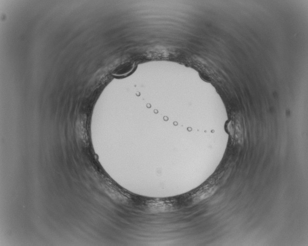 X0000060800616200512082151