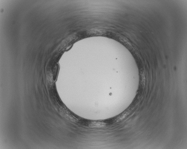 X0000060800617200512082151