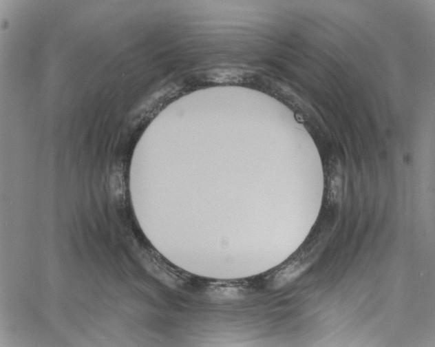 X0000060800620200512082151