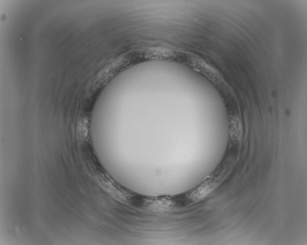 X0000060800621200512082151