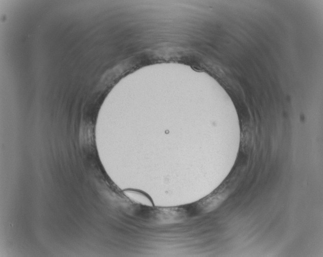 X0000060800623200512082151