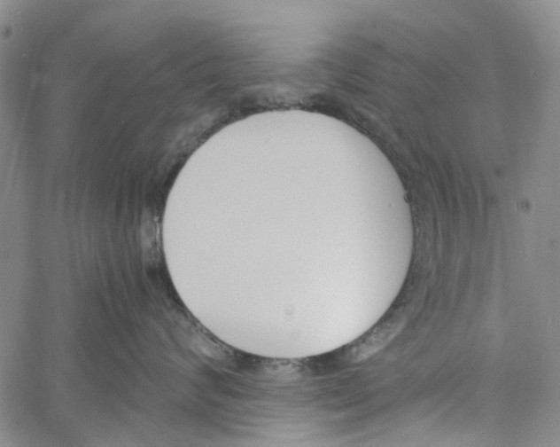 X0000060800624200512082151