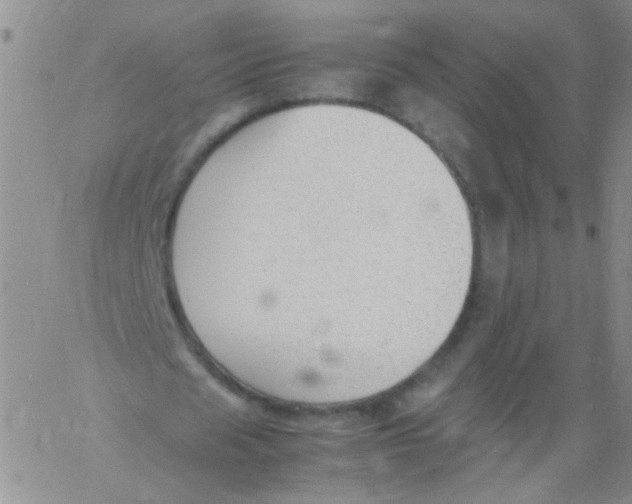 X0000060800625200512082150