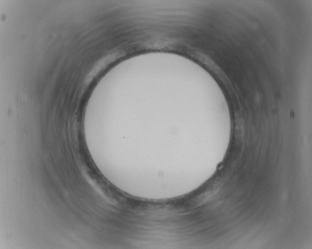 X0000060800626200512082150