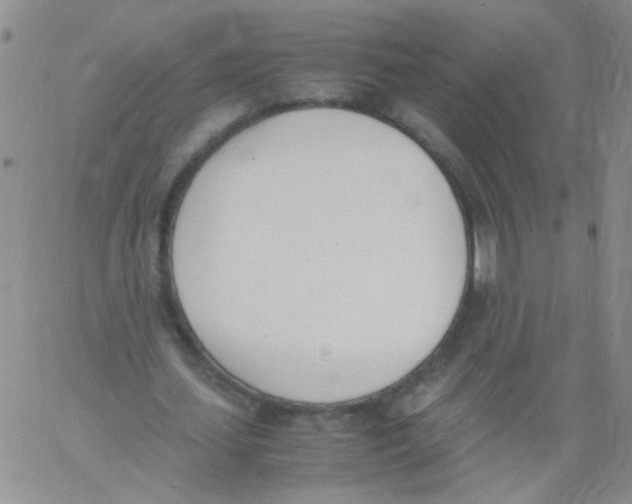 X0000060800627200512082150