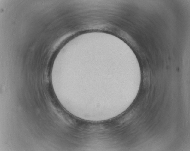 X0000060800628200512082150