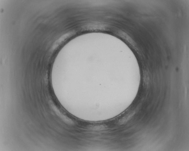 X0000060800629200512082150