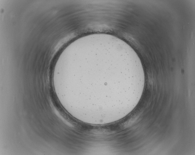 X0000060800630200512082150