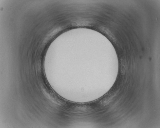 X0000060800631200512082151